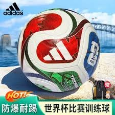 2026年世界杯公共卫生旅行措施的重要声明